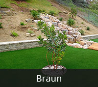  Braun Artificial Turf San Diego | Landscape Design | Pacific Dreamscapes