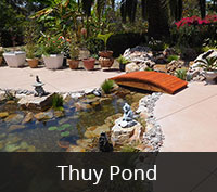 Thuy Pond Project