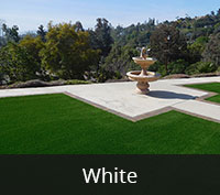  Marilyn White Artificial Turf San Diego | Landscape Design | Pacific Dreamscapes