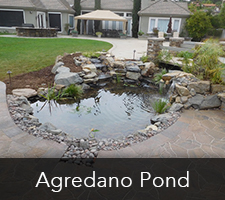 Agredano Pond Project