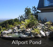 Allport Pond Project