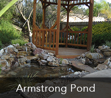 Armstrong Pond Project
