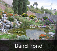 Baird Pond Project