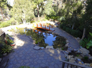 San Diego Professional Landscaper