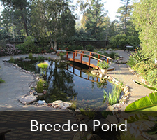 Breeden Pond Project