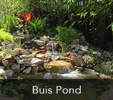Buis Pond Project