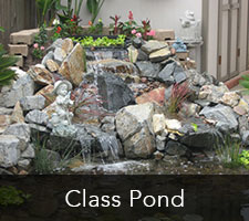 Class Pond Project