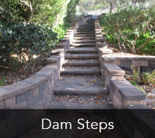 San Diego Steps - Dam Steps Project