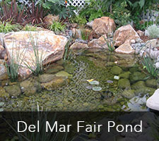 Del Mar Fair Pond Project