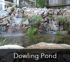 Dowling Pond Project