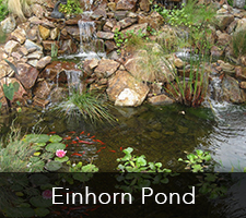 Einhorn Pond Project
