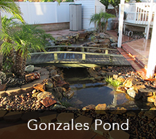 Gonzales Pond Project