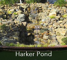Harker Pond Project