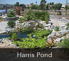 Harris Pond Project