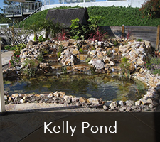 Kelly Pond Project