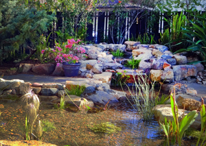 Landscaping in San Diego, CA