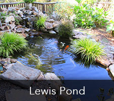 Lewis Pond Project