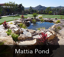 Mattia Pond Project