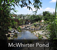 McWhirter Pond Project