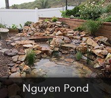 Knguyen Pond Project
