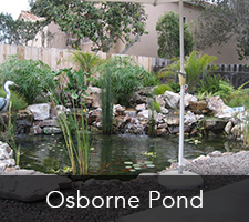 Osborne Pond Project