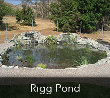 Rigg Pond Project