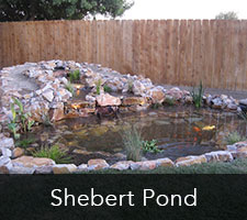 Shebert Pond Project