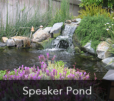 Speaker Pond Project