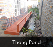 Thong Pond Project