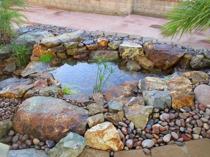 WATER FEATURES POND DESIGNS GONZALES 1