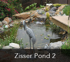 Zisser Pond Project 2