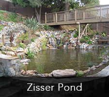 Zisser Pond Project 1