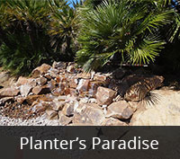 Planters Paradise Project