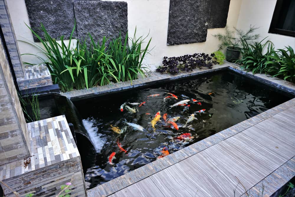 How deep does a koi pond need to be