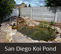 San Diego Koi Pond Project