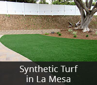 Synthetic Turf in La Mesa Project