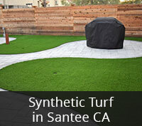 Synthetic Turf in Santee CA