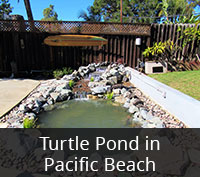 Turtle Pond in Pacific Beach Project