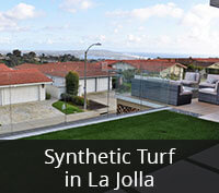 Synthetic Turf in La Jolla Project