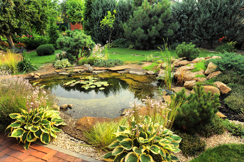 Where can I find experienced backyard design experts in San Diego, CA