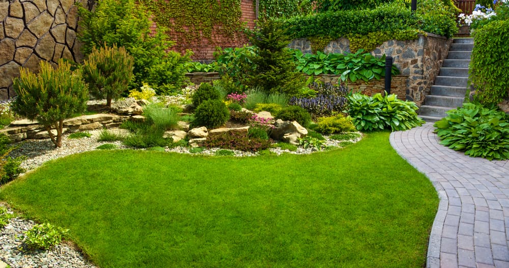 6 Reasons to Hire Backyard Landscapers