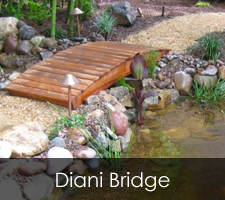 Diani Bridge Project