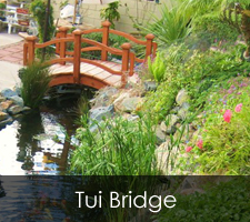Tui Bridge Project