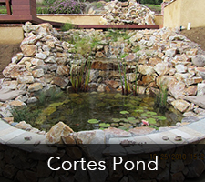 Cortes Pond Project