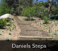 San Diego Steps - Daniels Steps Project