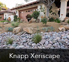 Knapp Xeriscapes Project