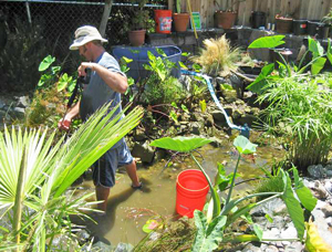 Pond Maintenance La Jolla