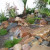 popp Water Features 2