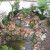 popp Water Features 4