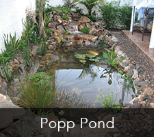 Popp Pond Project